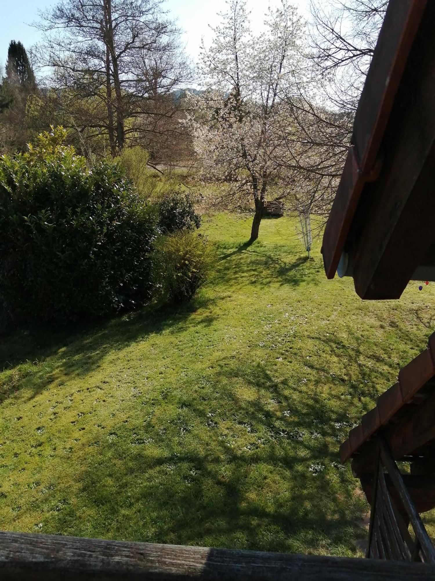 Gite 1 Etage Dambach Kültér fotó